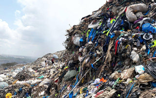 This landfill was supposed to stay open for 25 years. It filled up in 6.